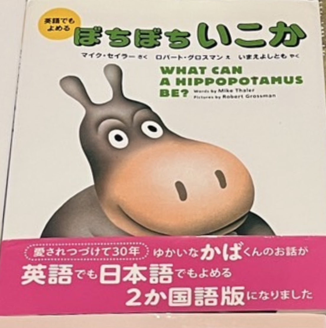 What Can a Hipopotamus Be?