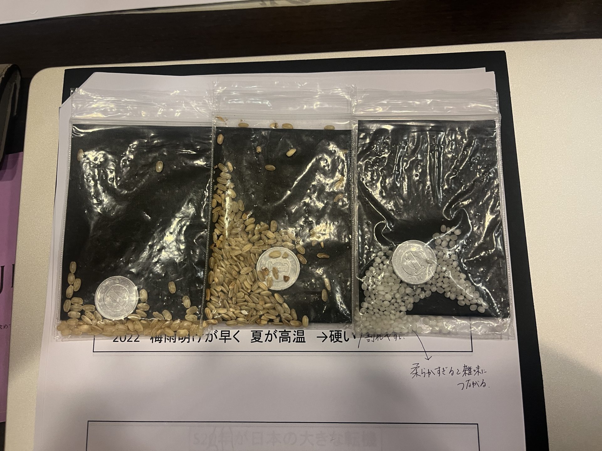 精米歩合の違いを見せるお米のサンプル（硬貨との比較）