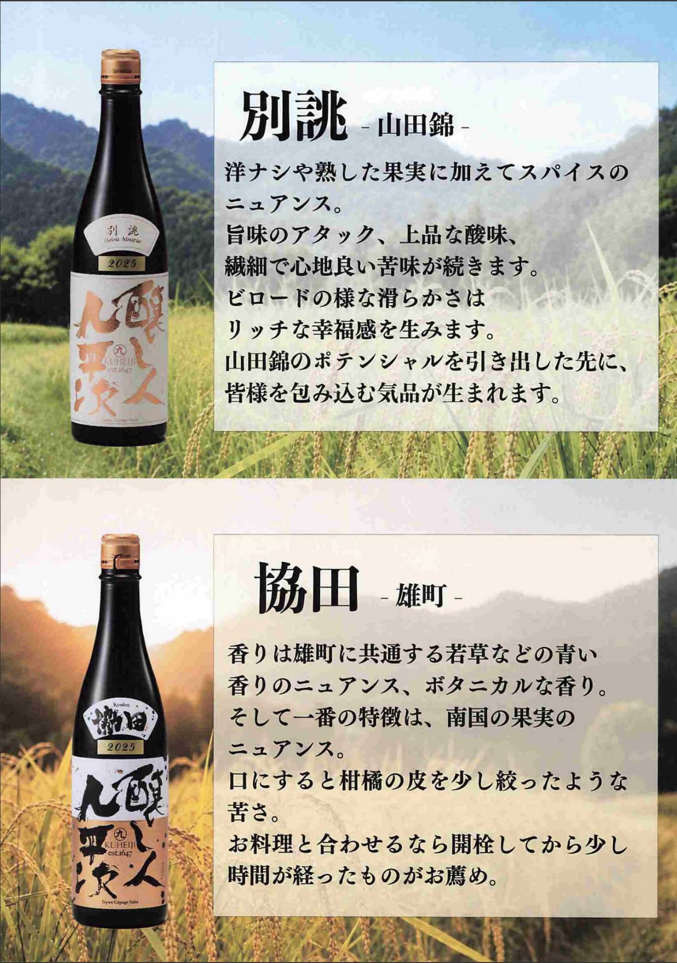 醸し人九平次 別誂（山田錦）と協田（雄町）のテイスティングノート